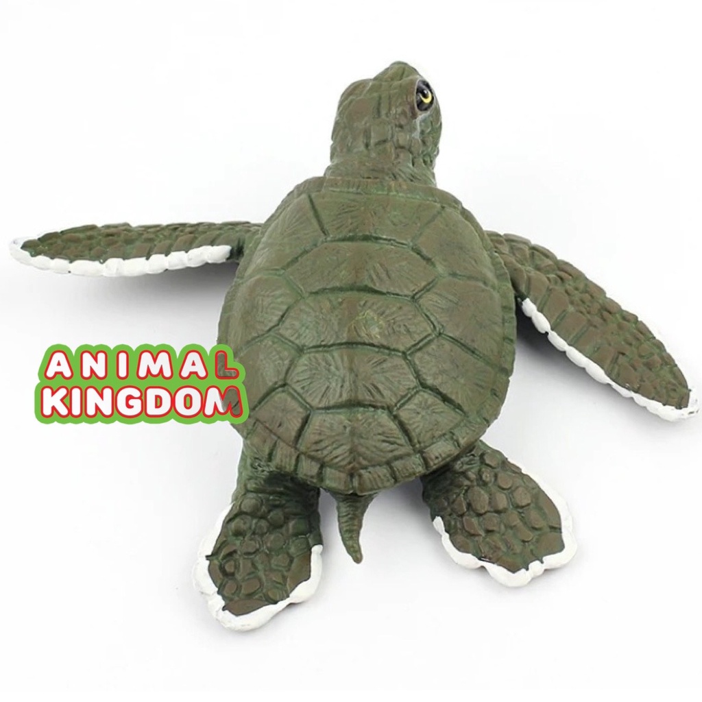 animal-kingdom-โมเดลสัตว์-เต่าทะเล-เขียว-ขนาด-12-00-cm-จากสงขลา