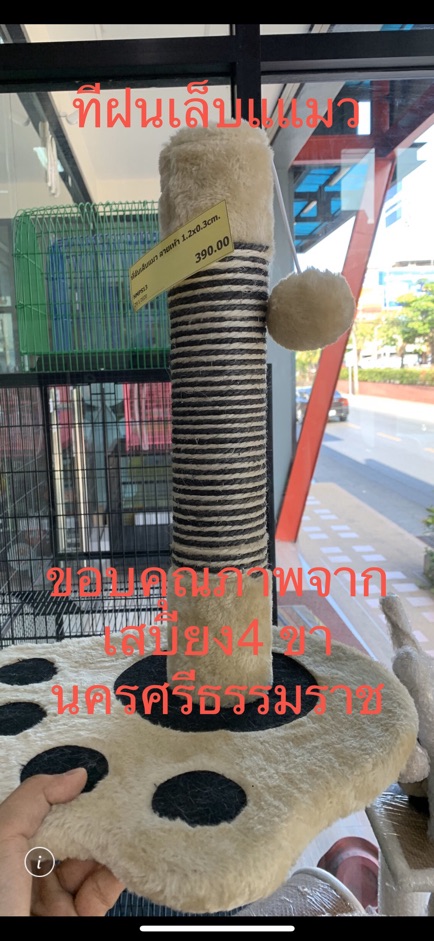 ภาพหน้าปกสินค้าเชือกมะนิลา เชือกแมว เชือกป่าน 6 มิล เชือกตกแต่ง เชือกโรงงานไทย เมตรละ 10 บาท จากร้าน jaruwattantiprapas บน Shopee