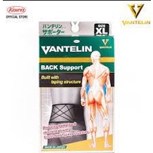 vantelin-back-support-taping-theory