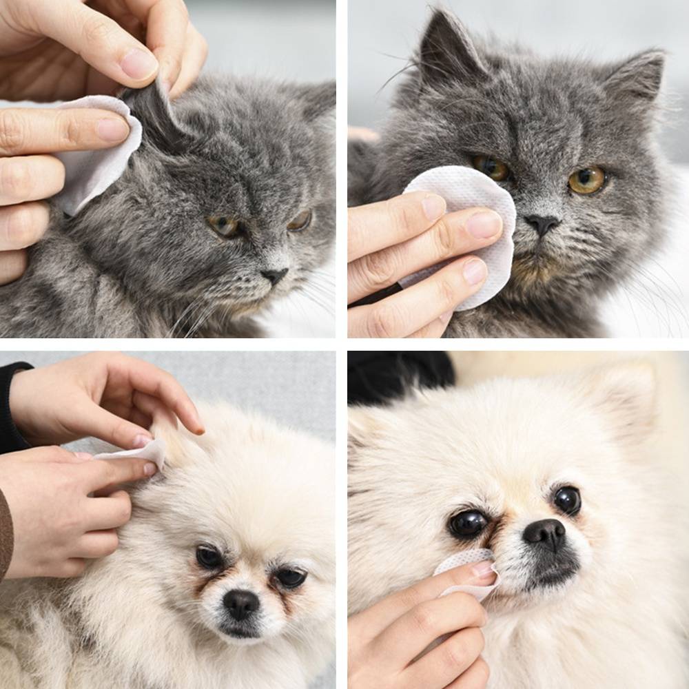 แผ่นเช็ดตาและหู-สุนัขและแมว-ผ้าเช็ดตาและหู-ผ้าเช็ดทำความสะอาดเปียก-ทิชชู่เปียกเช็ดคราบน้ำตา-บรรจุ-130แผ่น
