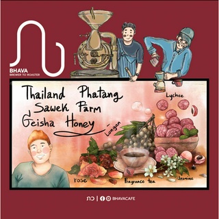 Coffee Beans : Thailand Phatang Sawek Farm Geisha Honey