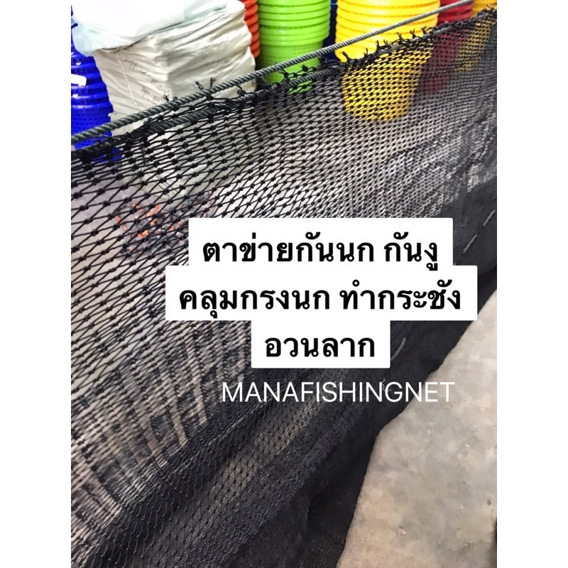 super-bird-net-ตาข่ายกันนก-รุ่นเส้นหนาพิเศษ-ผืนใหญ่-6x10-เมตร-ตาข่ายกันนก-คลุมหลังคา-ระเบียง-ตึก-อาคาร-คลุมบ่อ