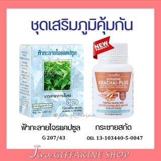 สินค้า ชุดเสริมภูมิคุ้มกัน ฟ้าทะลายโจร กระชายขาวสกัด ผสมเบต้ากลูแคน ซิงค์ และวิตามินซี ฟ้าทะลายโจรแคปซูล