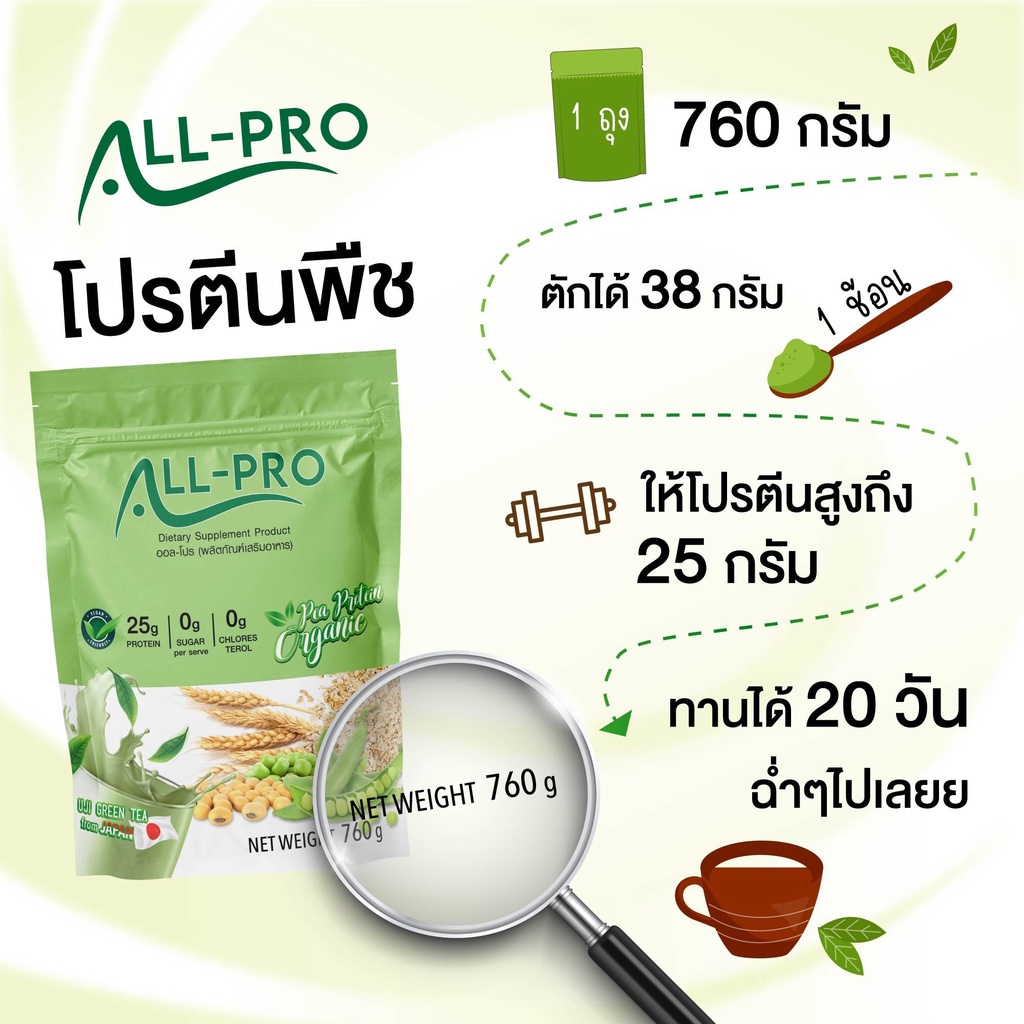 โปรตีนพืช-รสชาเขียว-pea-protein-organic-แพลต์โปรตีน-ออแกนิค-รสชาเขียว-uji-all-pro-plant-based-protein-760g