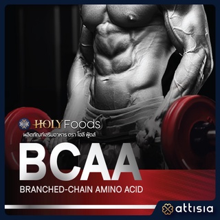 Instantized BCAA Powder (Branched-Chain amino acids)  บีซีเอเอ ขนาดบรรจุ 500 กรัม (ตรา โฮลี ฟู้ดส์)
