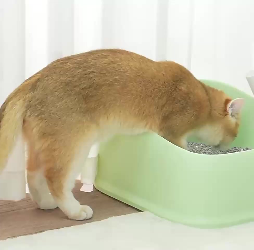 kojima-เม็ดหอม-เม็ดหอมดับกลิ่นอัจฉริยะ-เม็ดดับกลิ่นทรายแมว-ยับยั้งเชื้อแบคทีเรีย-กลิ่นหอม-ใช้ได้นาน-เพียงโรยใส่กะบะทราย