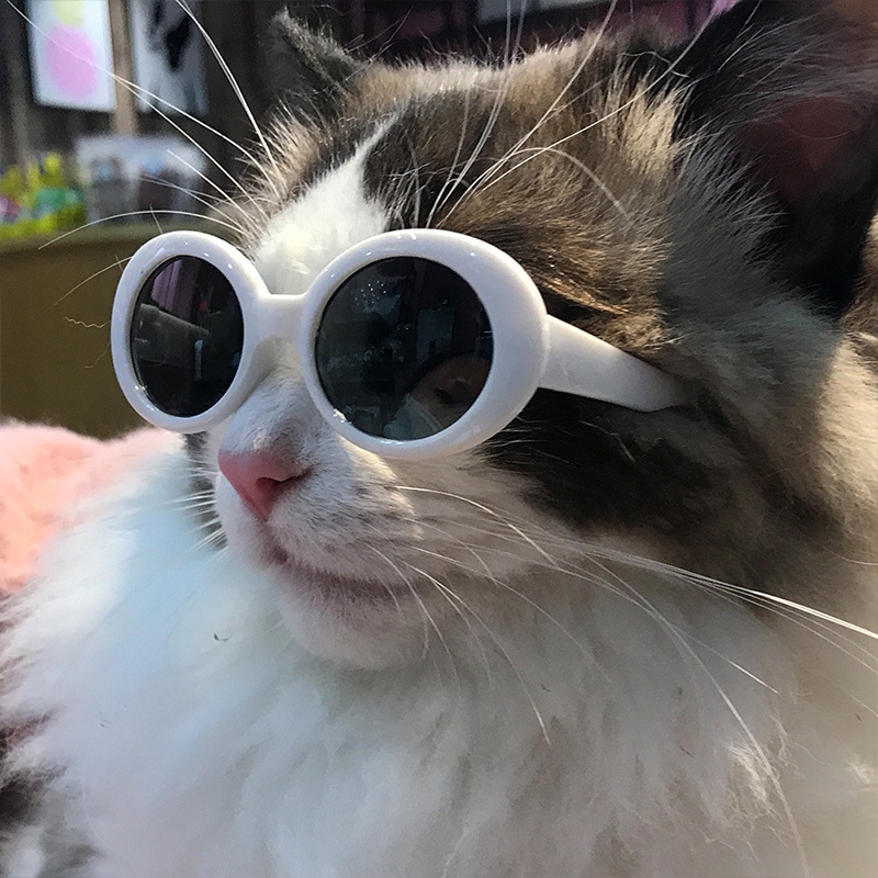 ข้อมูลเพิ่มเติมของ แว่นตากันแดด ป้องกันดวงตา แฟชั่นสําหรับสัตว์เลี้ยง สุนัข แมว พร็อพถ่ายภาพ