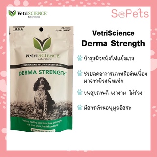 ภาพหน้าปกสินค้าVetriSCIENCE  Vetri DERMA STRENGTH® บำรุงผิวหนังและขน  70 เม็ดเคี้ยว วิตามินบำรุงผิวหนัง วิตามินบำรุงขนสุนัข dog vitamin ซึ่งคุณอาจชอบราคาและรีวิวของสินค้านี้