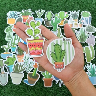 สติ๊กเกอร์ Cactus แคคตัส กระบองเพชร ต้นไม้ ไม้กระถาง ติดแน่น กันน้ำ (44 ชิ้น) plant sticker