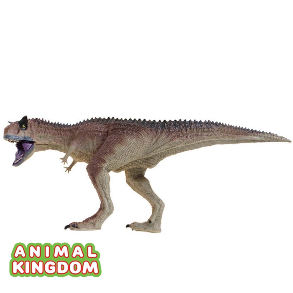 animal-kingdom-โมเดลไดโนเสาร์-camotaurus-เทา-ขนาด-27-00-cm-จากหาดใหญ่