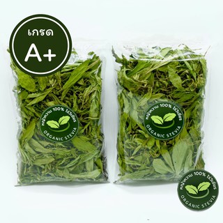 ราคาและรีวิว12 กรัม หญ้าหวาน stevia 🍃 อบแห้ง 💯 % 🍃 คัดเฉพาะยอดอ่อน 🍃เกรดส่งออก ขนาดทดลอง