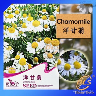 D002ดอกคาโมไมล์เทพธิดาผักดอกไม้ผลไม้สมุนไพรเมล็ดเมล็ด seeds seeds 6UUA
