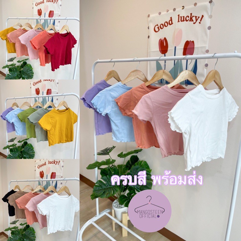 พร้อมส่ง-ครอป-แขนสั้น-เสื้อยืด-งานไอจีสาวห้ามพลาด-ยืดครอป-สีน่ารัก-ปังๆปุริเย่