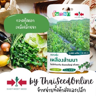 สินค้า GGEW กวางตุ้งเหลืองล้านนา 5000เมล็ด ตราศรแดง เมล็ดพันธุ์พระราชทาน จันกะผัก Pak Choy