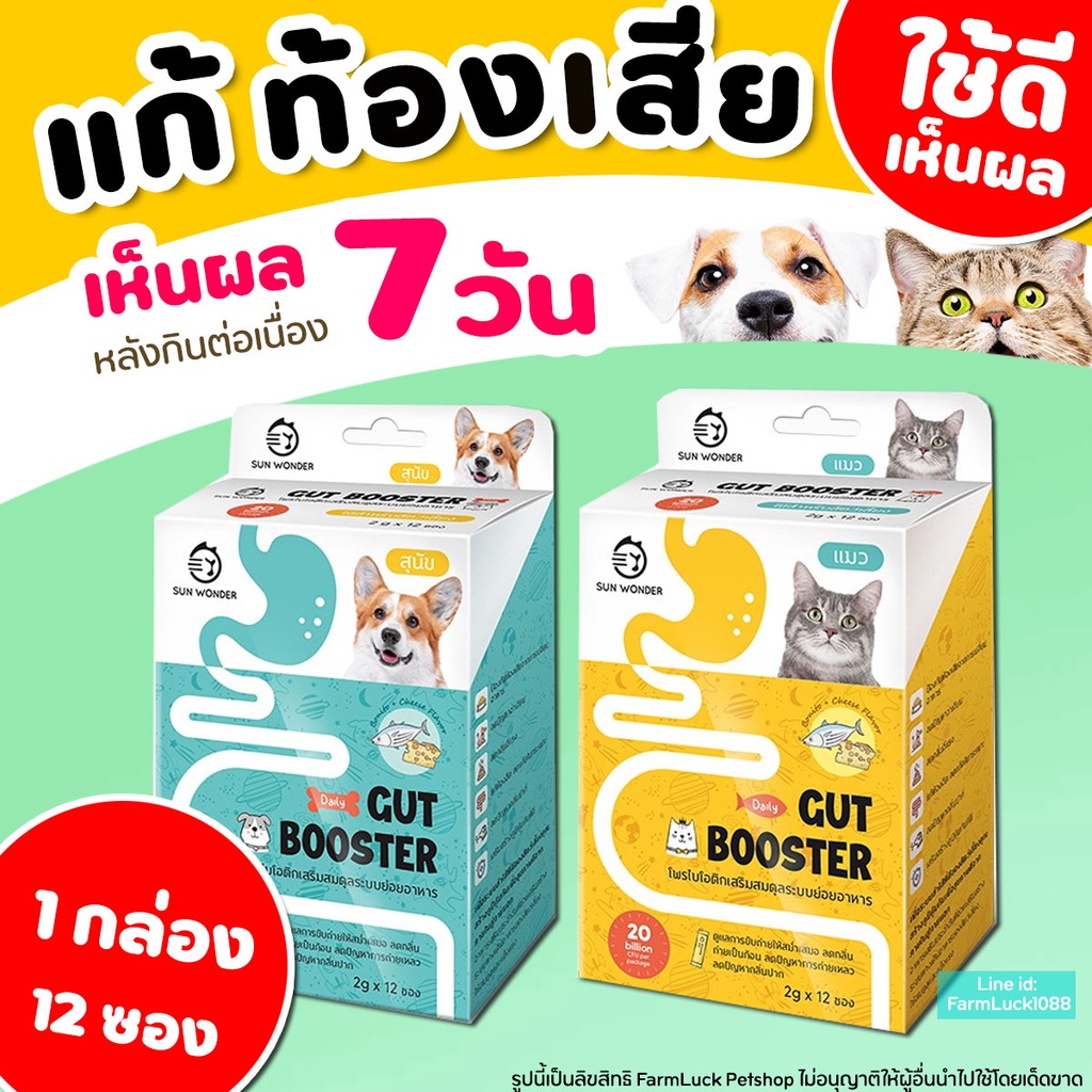 1กล่อง-12ซอง-gut-booster-โพรไบโอติก-สุนัขและแมว-แก้ท้องเสีย-ท้องผูก-ท้องอืด-ลำไส้อักเสบเรื้อรัง-ระบบย่อยมีปัญหา