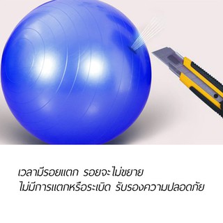 ภาพขนาดย่อของภาพหน้าปกสินค้าลูกบอลโยคะ ฟิตเนต บอลออกกำลังกาย 65 ซม. Yoga Ball แบบทึบและแบบเงา จากร้าน afitnessgear บน Shopee ภาพที่ 4