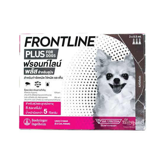 front-line-น้ำหนักไม่เกิน-5-kg-หรือ-ลูกสุนัข