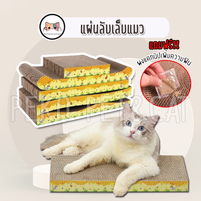 รูปภาพสินค้าแรกของPEKO PET&CAT ที่ลับเล็บ ราคาถูก  แผ่นลับเล็บแมว ที่ฝนเล็บแมว ที่ลับเล็บสัตว์เลี้ยง