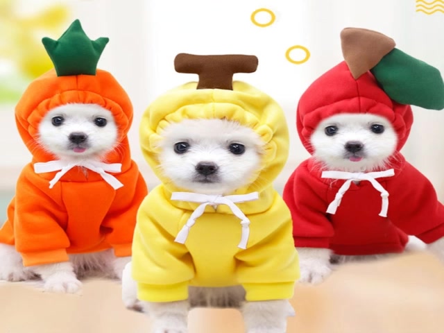 aotoo-เสื้อกันหนาว-มีฮู้ด-รูปผลไม้น่ารัก-พร้อมหมวก-สําหรับสัตว์เลี้ยง-ลูกสุนัข-แมว-สุนัขบูลด็อกฝรั่งเศส