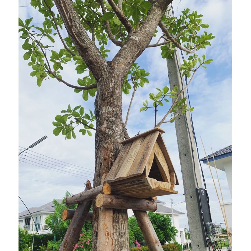 บ้านนก-บ้านกระรอก-บ้านชูก้า-ไม้สัก