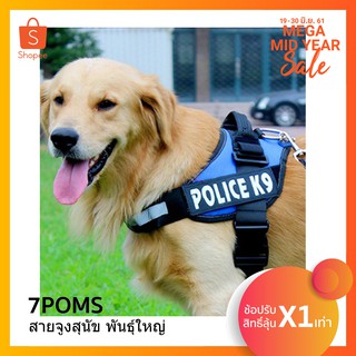 สายจูงสุนัข พันธุ์ใหญ่ 10-20 kg. (Police K9)