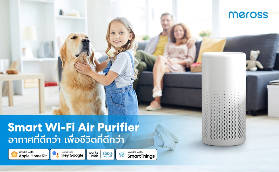 Smart air clearance purifier homekit