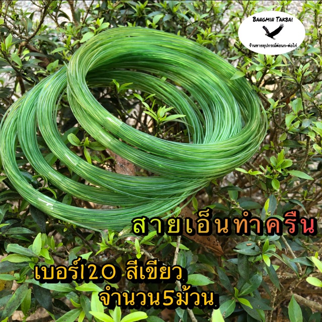 สายเอ็นทำครืน-เบอร์120-สีเขียว-จำนวน5ม้วน-สายเอ็นทำครืนแขวน-ทำครืนไก่-สายเอ็นดักนก-เอ็นสวยสีเขียว