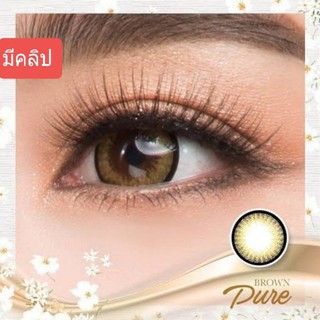 💟 Little/mini Pure ( Vivi ) dia14.2 Pitchylens Pretty doll Wink สายตา-00 ถึง -1000 brown gray Contactlens คอนแทคเลนส์