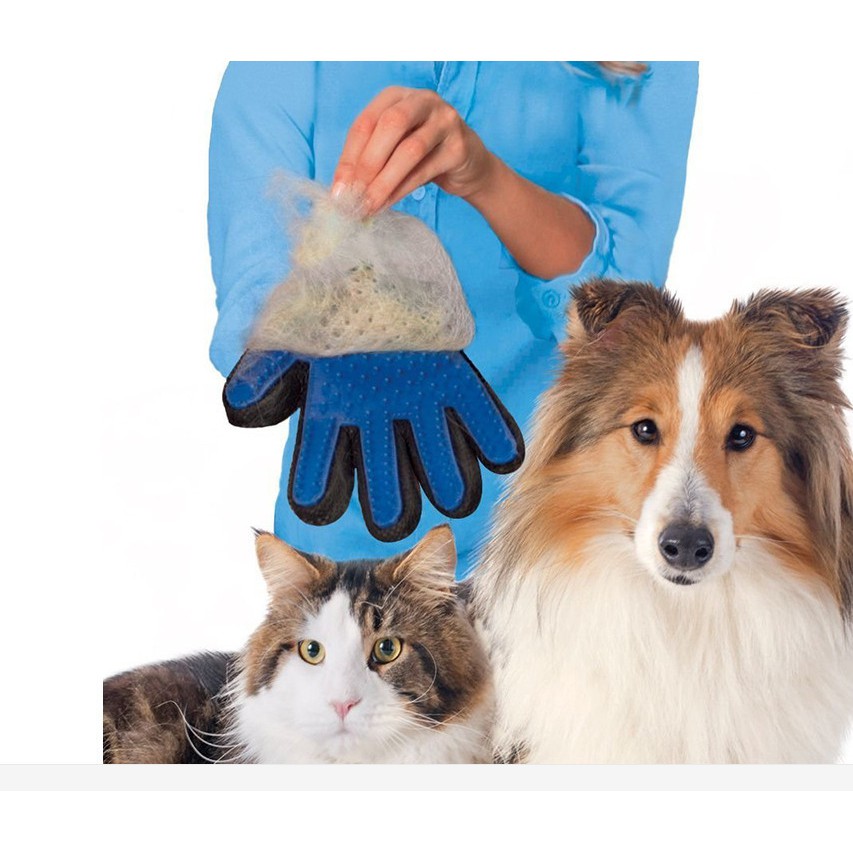 ภาพหน้าปกสินค้าSystano ถุงมือแปรงขนสุนัขและแมว ถุงมือแปรงขนสัตว์เลี้ยง No.Y163 ที่เก็บมูลสัตว์ ที่ตักอึสัตว์เลี้ยง Y963