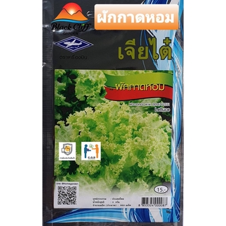 ผักกาดหอม lettuce เมล็ดพันธุ์พืช ผัก เมล็ดพันธุ์ผัก พืช ต้นไม้ ผักสวนครัว 960 เมล็ด อัตราการงอก 98% ปลูกผักทานเองที่บ...