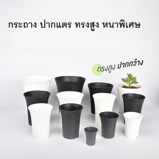 สินค้า กระถางปากแตร ทรงสูง 2นิ้ว 3นิ้ว 3.5 นิ้ว 4นิ้ว - 6 นิ้ว กระถางปลูกต้นไม้ กระถางสวยๆราคาถูก