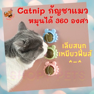 ภาพหน้าปกสินค้าCatnip กัญชาแมว ออร์แกนิค ลูกบอลแมว แคทนิป ของเล่นแมว บอลcatnip แบบเลีย แมว CATNIP1 ที่เกี่ยวข้อง