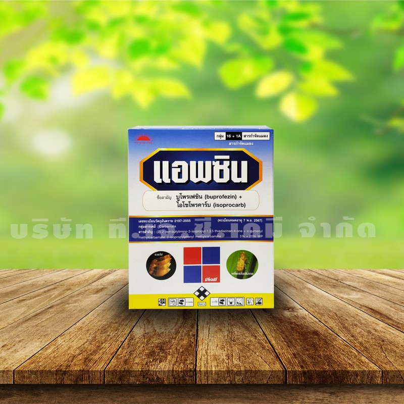 My Image 38