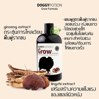 ภาพหน้าปกสินค้าPuppy Potion Grow Shampoo แชมพูสุนัข สูตรลดขนร่วง กระตุ้นรากขน ด้วยสารสกัดจากโสม 500ml.[DG12] ซึ่งคุณอาจชอบสินค้านี้