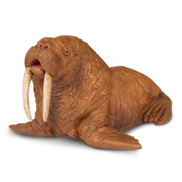 Safari Ltd. : SFR248729 โมเดลวอลรัส Walrus | Shopee Thailand