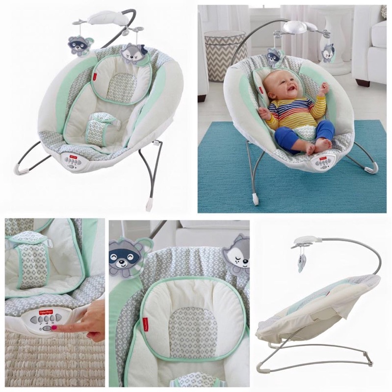 เปลสั่นอัตโนมัติ-fisher-price-moonlight-meadow-deluxe-bouncer