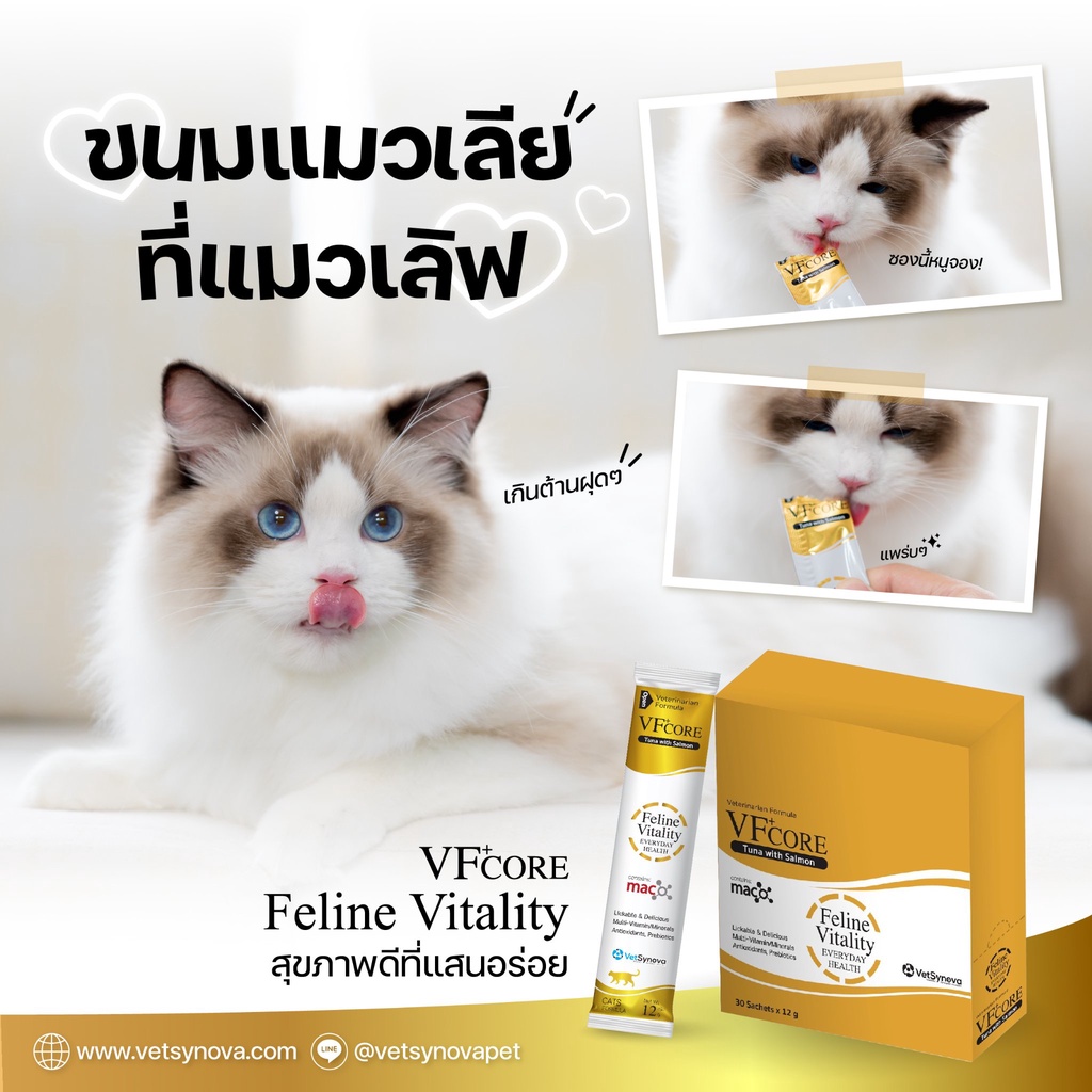 vfcore-ขนมแมวเลียแบบซอง-อาหารเสริมแมว-l-lysine-ไลซีน-เสริมภูมิ-rb-บำรุงเลือด-jc-บำรุงข้อต่อ-feline-vital-kidney-care