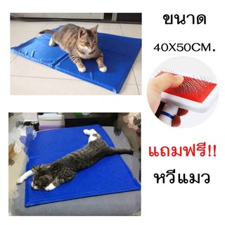 แผ่นรองนอนเย็นลดความร้อนสุนัขและแมว ที่นอนเย็นสุนัขและแมว ขนาด 40 x50 CM.สีน้ำเงิน แถมฟรีหวีแปรงขน1อัน