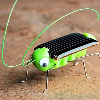 [Choo] ของเล่นแมลง พลังงานแสงอาทิตย์ สําหรับเด็ก
