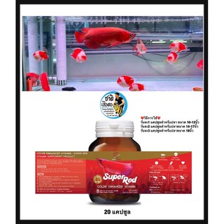 วิตามินเสริมเร่งสีปลามังกร ARO PLUS - super red แบบกระปุก ชนิดแคปซูล 20เม็ด