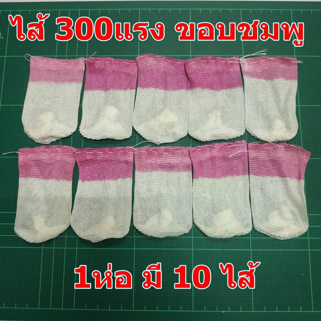 ไส้ตะเกียง-300แรง-ขอบชมพู-เนื้อโคแมน