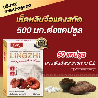 ภาพขนาดย่อของภาพหน้าปกสินค้าZenji เห็ดหลินจือแดง สกัด 500 มก. + โรสฮิปสกัด 60 แคปซูล/กล่อง หลินจือ โรสฮิป จากร้าน zenji4289 บน Shopee ภาพที่ 1