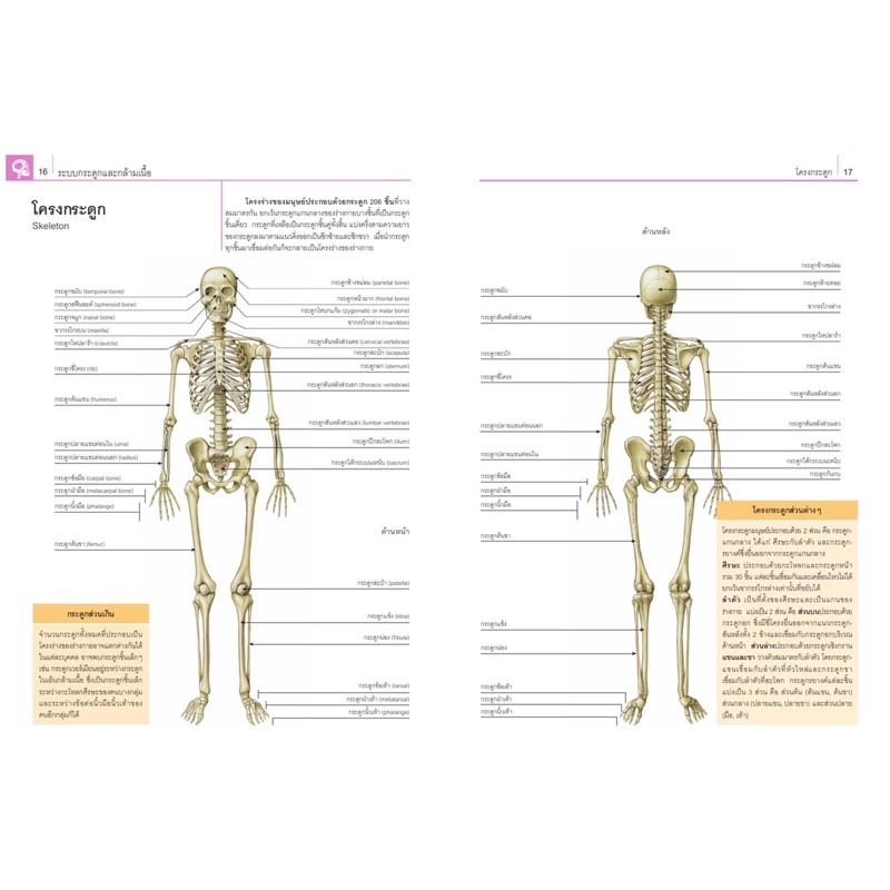 หนังสือคู่มือเพื่อการศึกษา-กายวิภาคศาสตร์และสรีรวิทยา