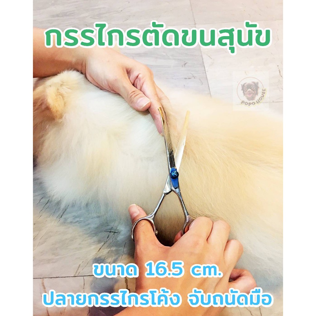 กรรไกรตัดขนสุนัข Top Paw Scissors Grooming Scissor กรรไกรกรูมมิ่ง