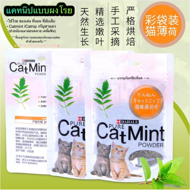 ภาพหน้าปกสินค้ากัญชาแมว แคทนิปแมวแบบผง Catnip ( พร้อมส่ง ) Catmint