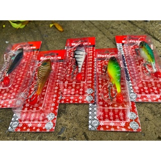 ปลายางBorns “หางกระดิ่ง”