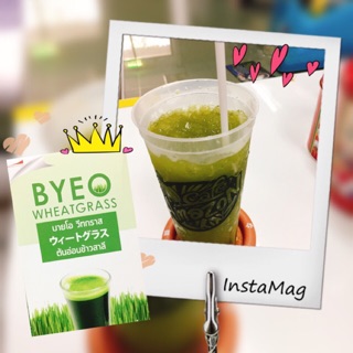 Byeo Wheatgrass ต้นข้าวอ่อนสาลี