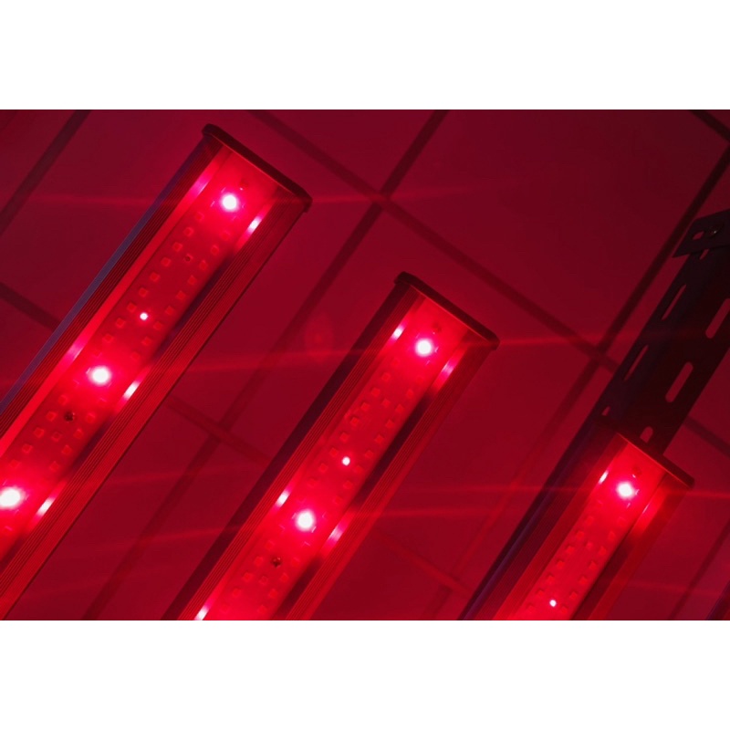light-b-640-w-301-h-deepred-ir-uv