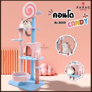 💕Akane💕 คอนโดแมว บ้านแมว ที่ลับเล็บแมว No.SC09 คอนโดแคนดี้ มาพร้อมเสาลับเล็บ ที่นอนแมวน่ารักๆ ของเล่นสัตว์เลี้ยง