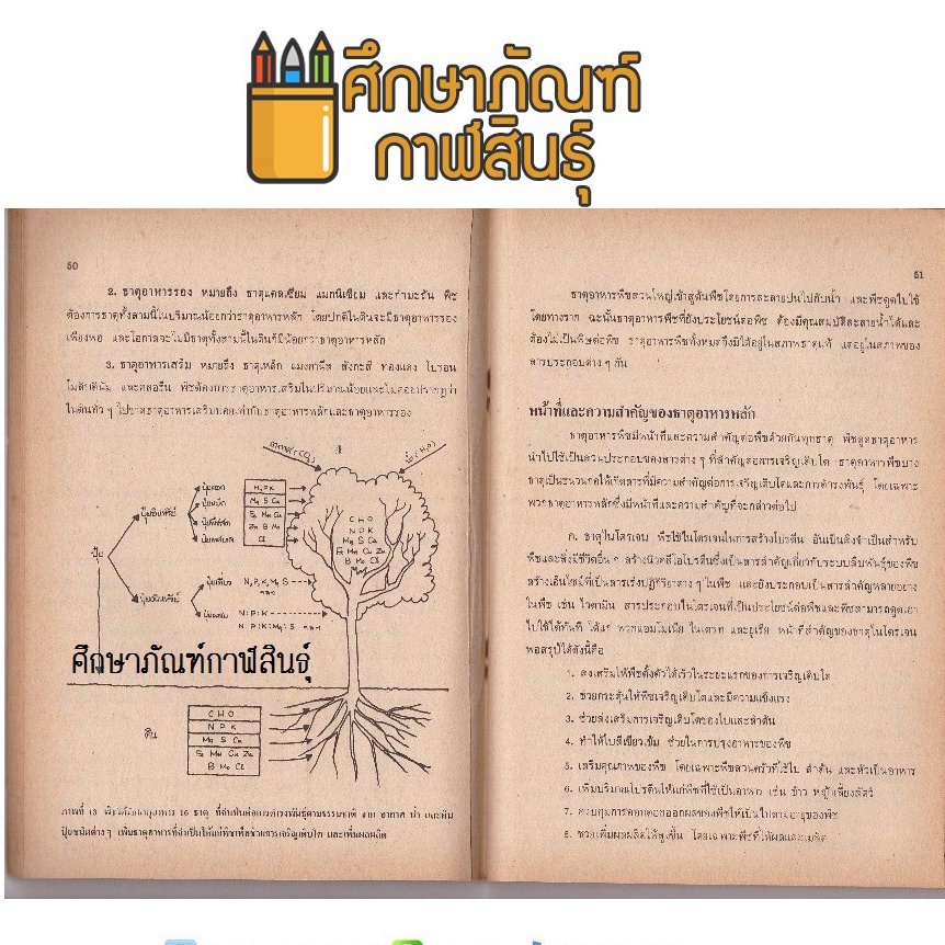 เกษตร-ก-พืช-ม-1-หนังสือสะสม-หนังสือหายาก-หลักสูตร-พ-ศ-2521